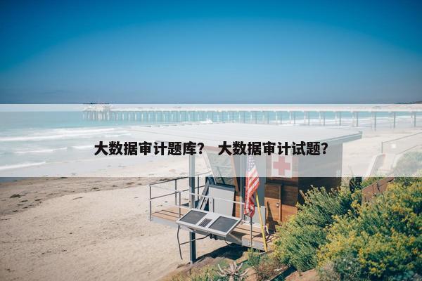 大数据审计题库？ 大数据审计试题？
