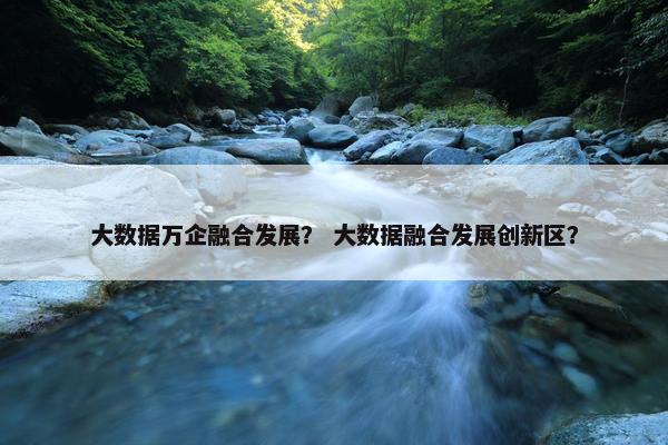 大数据万企融合发展？ 大数据融合发展创新区？
