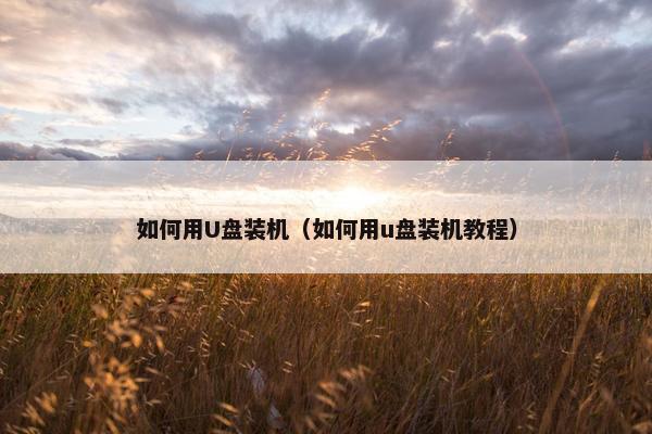 如何用U盘装机（如何用u盘装机教程）