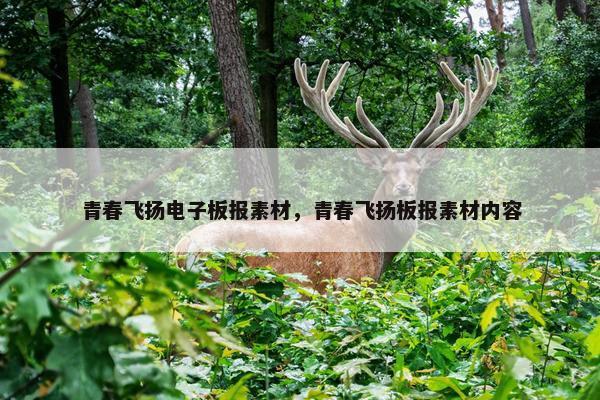 青春飞扬电子板报素材，青春飞扬板报素材内容