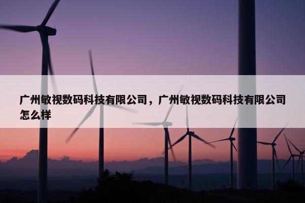 广州敏视数码科技有限公司，广州敏视数码科技有限公司怎么样