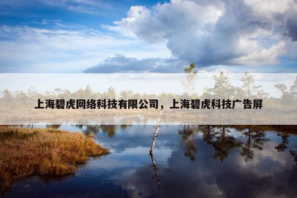 上海碧虎网络科技有限公司，上海碧虎科技广告屏