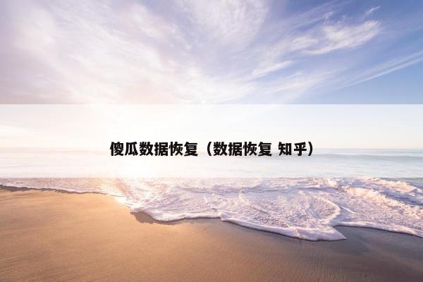 傻瓜数据恢复（数据恢复 知乎）