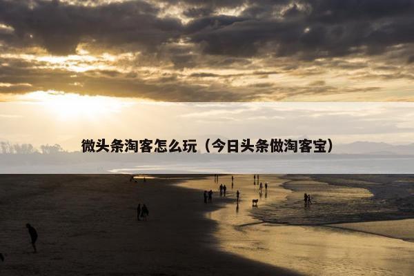 微头条淘客怎么玩（今日头条做淘客宝）