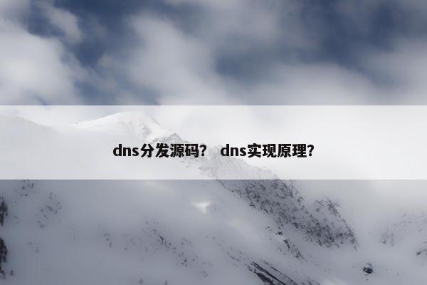 dns分发源码？ dns实现原理？