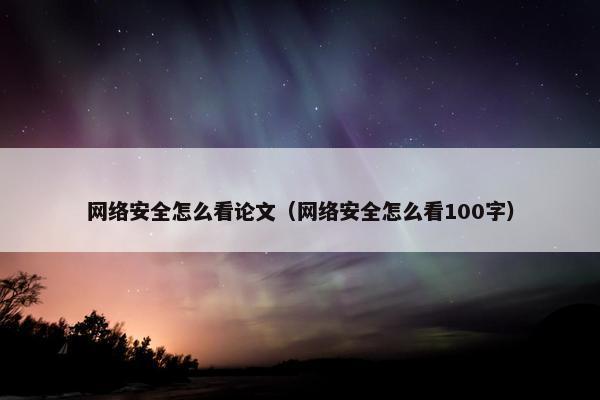 网络安全怎么看论文（网络安全怎么看100字）