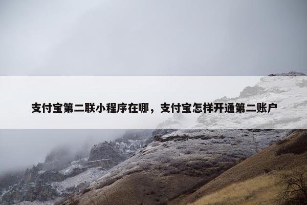 支付宝第二联小程序在哪，支付宝怎样开通第二账户