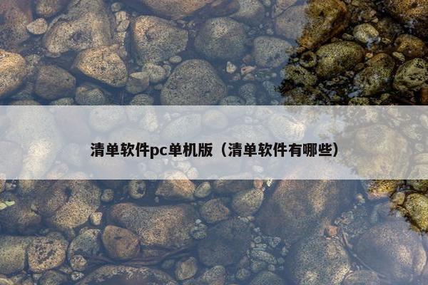 清单软件pc单机版（清单软件有哪些）