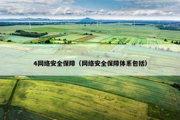 4网络安全保障（网络安全保障体系包括）