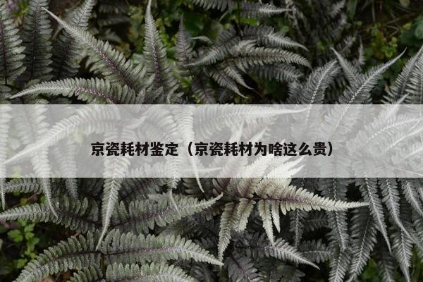 京瓷耗材鉴定（京瓷耗材为啥这么贵）