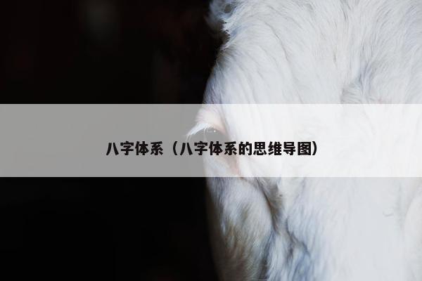 八字体系（八字体系的思维导图）