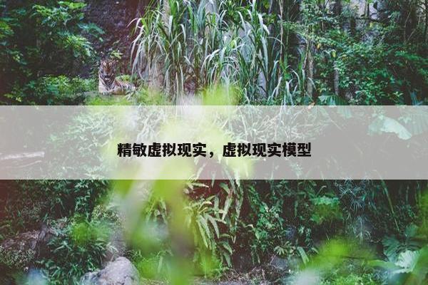 精敏虚拟现实，虚拟现实模型