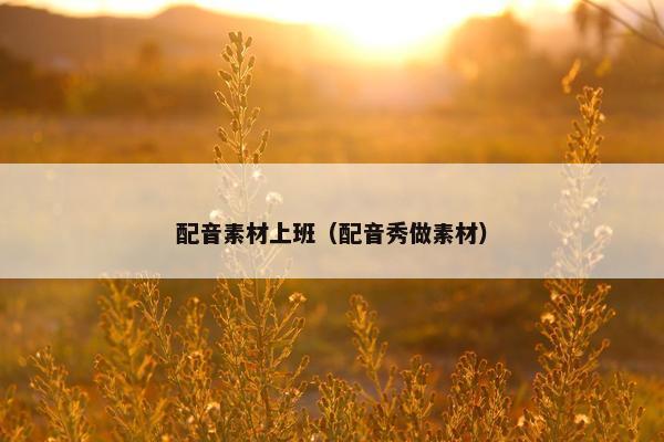 配音素材上班（配音秀做素材）