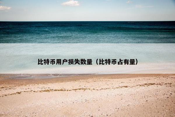 比特币用户损失数量（比特币占有量）