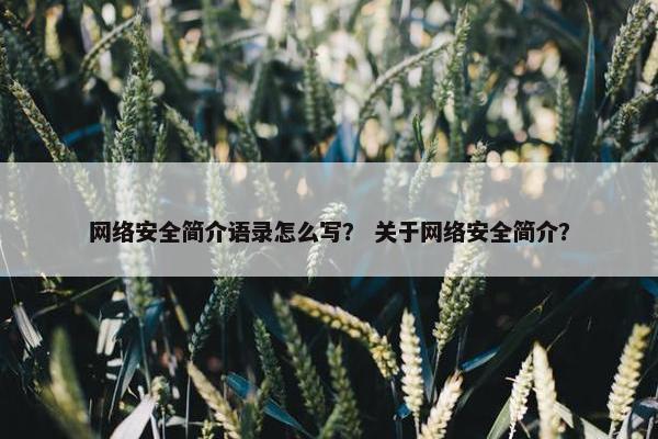网络安全简介语录怎么写？ 关于网络安全简介？