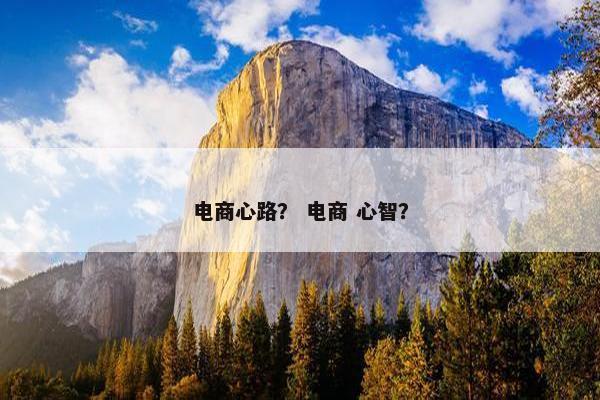 电商心路？ 电商 心智？