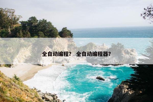 全自动编程？ 全自动编程器？