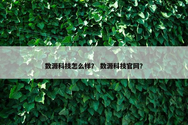 数源科技怎么样？ 数源科技官网？