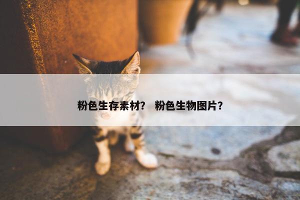 粉色生存素材？ 粉色生物图片？