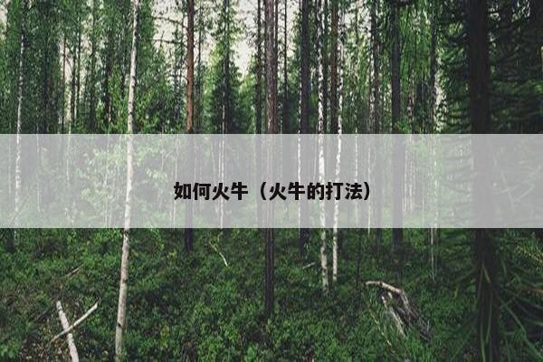 如何火牛（火牛的打法）