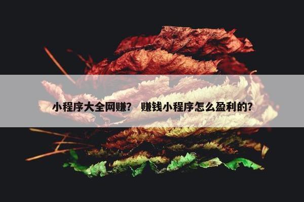 小程序大全网赚？ 赚钱小程序怎么盈利的？