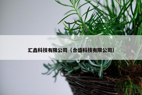 汇鑫科技有限公司（合盛科技有限公司）