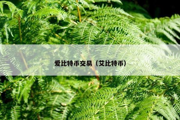 爱比特币交易（艾比特币）
