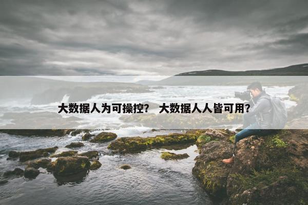 大数据人为可操控？ 大数据人人皆可用？