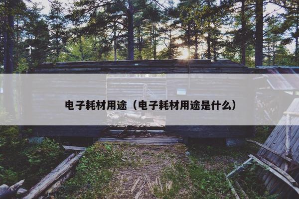电子耗材用途（电子耗材用途是什么）