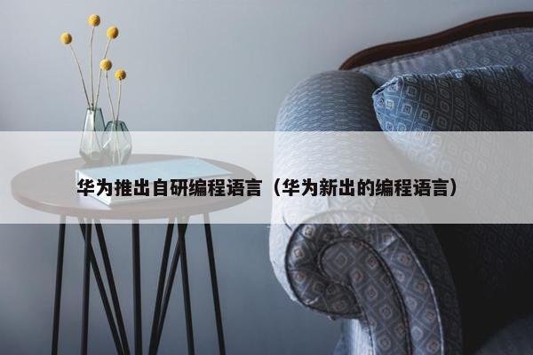 华为推出自研编程语言（华为新出的编程语言）