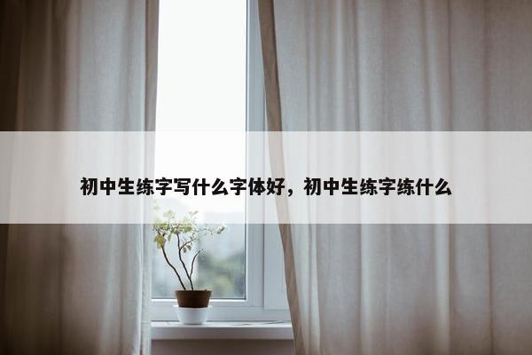 初中生练字写什么字体好，初中生练字练什么