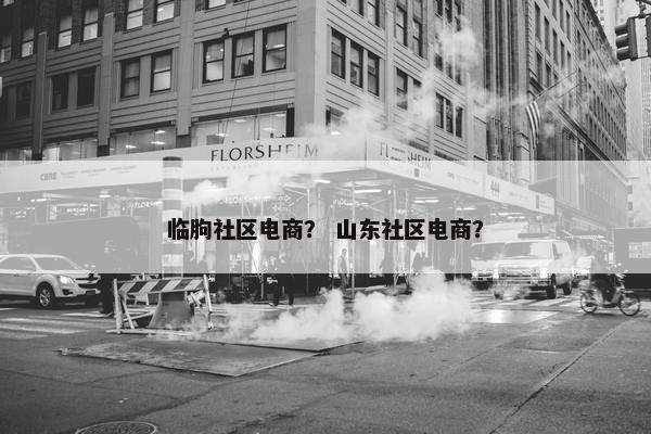 临朐社区电商？ 山东社区电商？