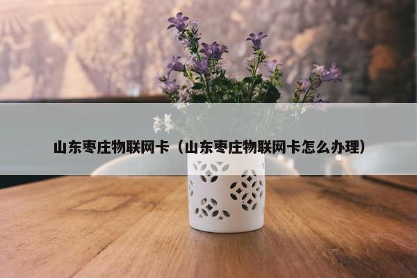 山东枣庄物联网卡（山东枣庄物联网卡怎么办理）