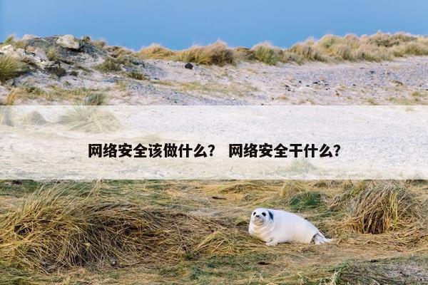 网络安全该做什么？ 网络安全干什么？