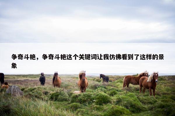 争奇斗艳，争奇斗艳这个关键词让我仿佛看到了这样的景象