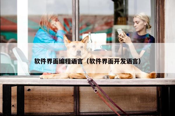 软件界面编程语言（软件界面开发语言）