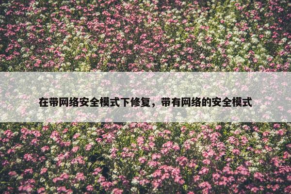 在带网络安全模式下修复，带有网络的安全模式