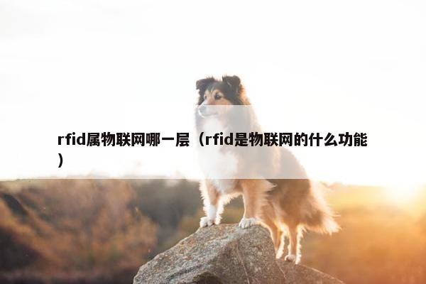 rfid属物联网哪一层（rfid是物联网的什么功能）