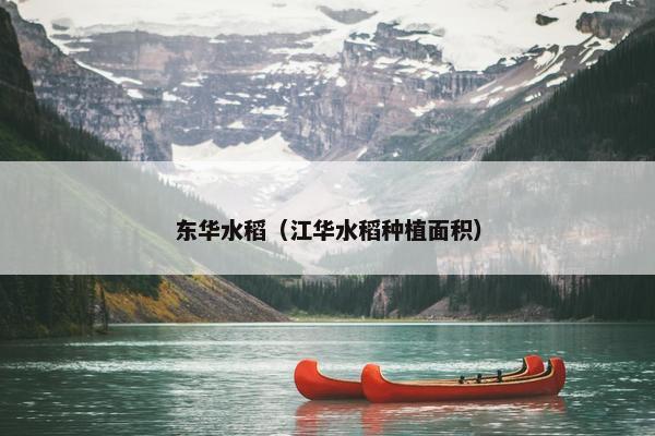 东华水稻（江华水稻种植面积）