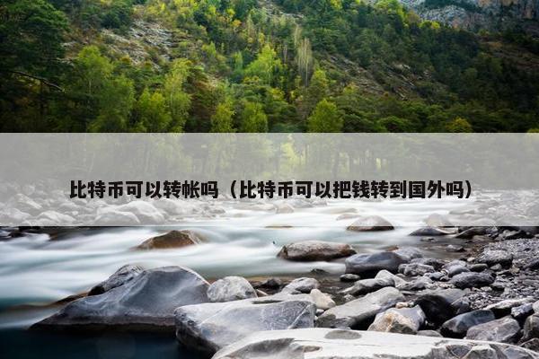 比特币可以转帐吗（比特币可以把钱转到国外吗）