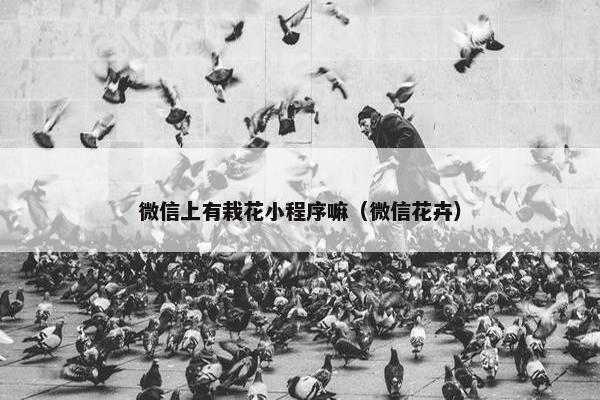 微信上有栽花小程序嘛（微信花卉）