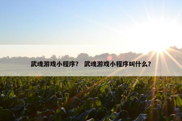 武魂游戏小程序？ 武魂游戏小程序叫什么？