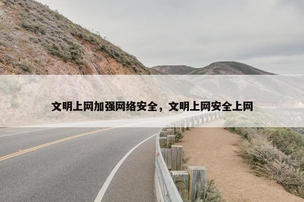 文明上网加强网络安全，文明上网安全上网