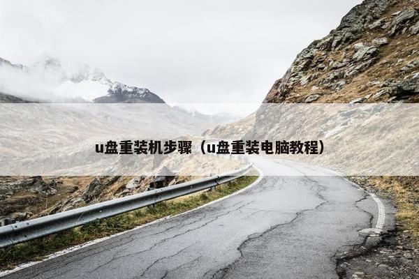 u盘重装机步骤（u盘重装电脑教程）