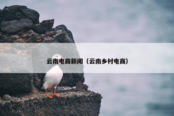 云南电商新闻（云南乡村电商）