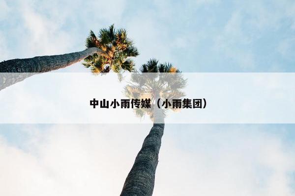 中山小雨传媒（小雨集团）