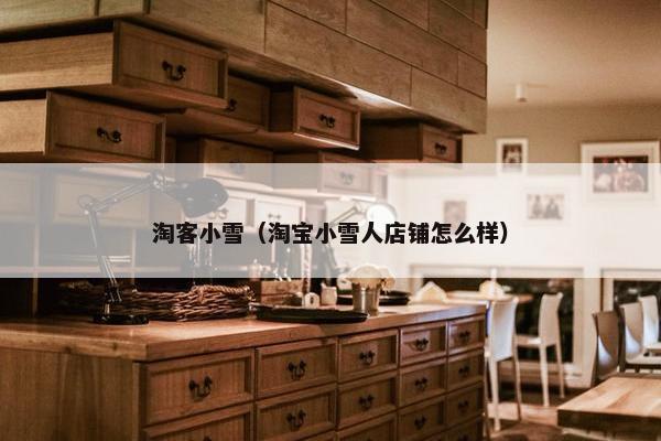 淘客小雪（淘宝小雪人店铺怎么样）