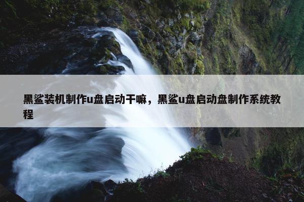 黑鲨装机制作u盘启动干嘛，黑鲨u盘启动盘制作系统教程