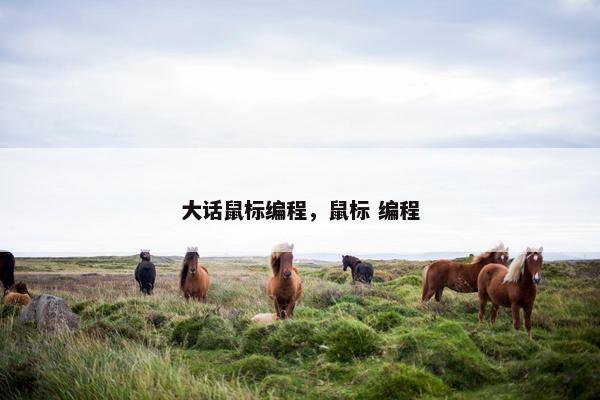 大话鼠标编程，鼠标 编程
