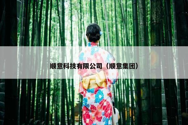 顺意科技有限公司（顺意集团）